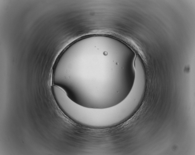 X0000099441276200805301443