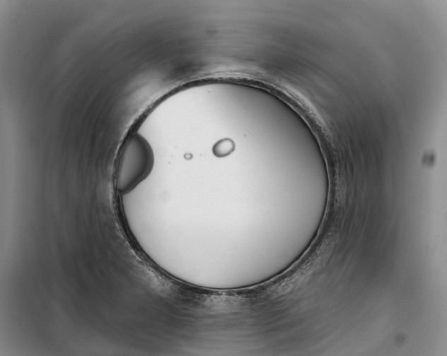 X0000099441277200805301443