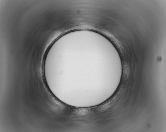 X0000099441278200805301443