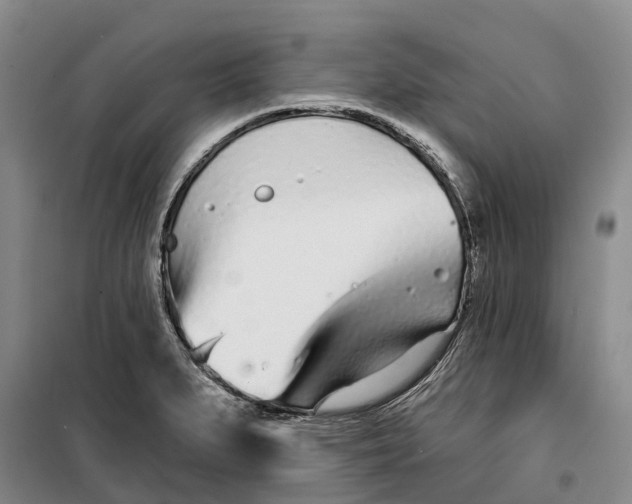 X0000099441279200805301443