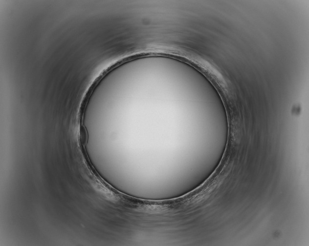 X0000099441280200805301443