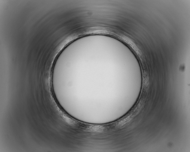 X0000099441282200805301443