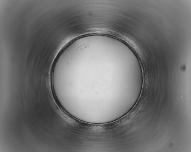 X0000099441283200805301443