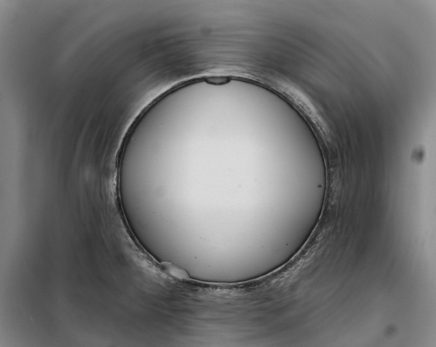 X0000099441284200805301443