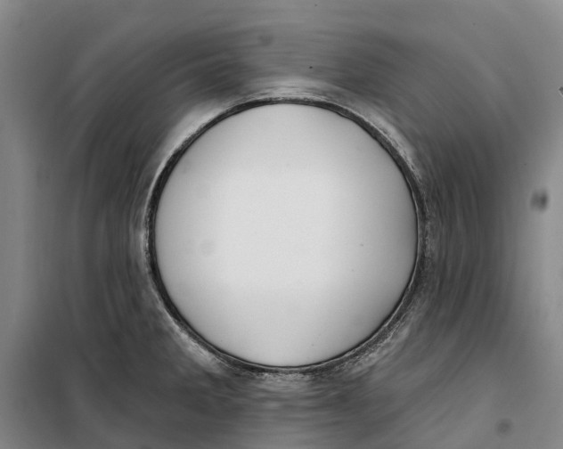 X0000099441285200805301443