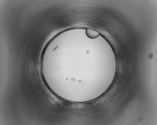 X0000099441286200805301443