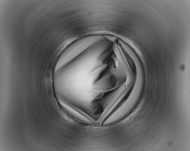 X0000099441289200805301443
