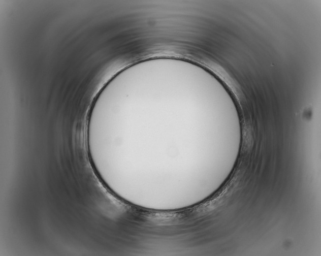 X0000099441290200805301443