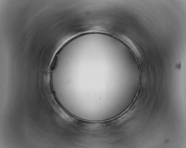 X0000099441292200805301443