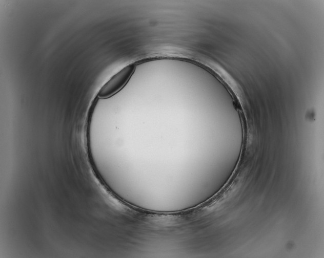 X0000099441293200805301443