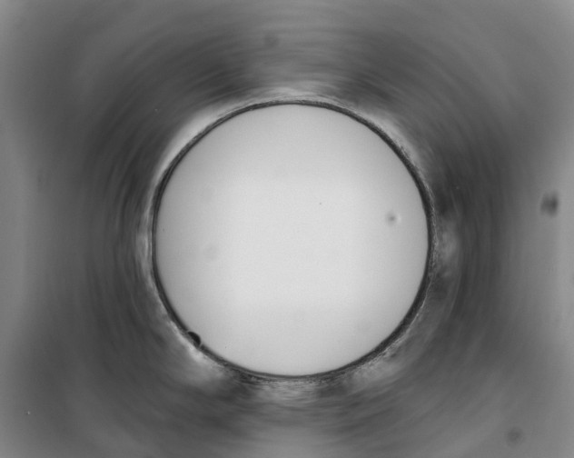 X0000099441294200805301443