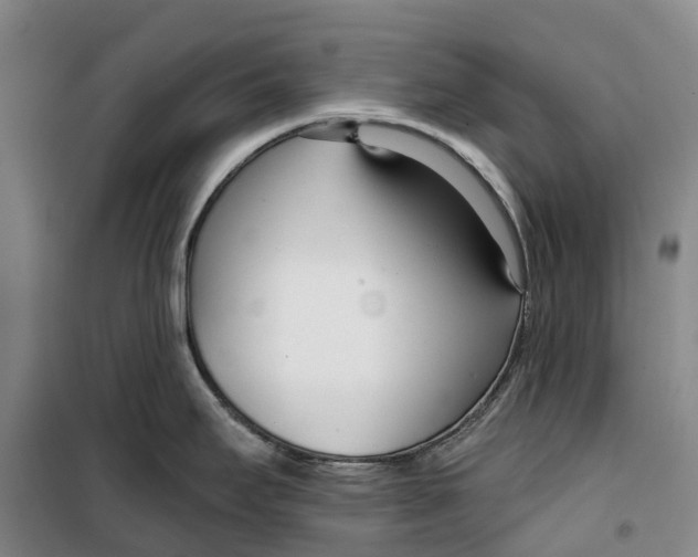 X0000099441295200805301443