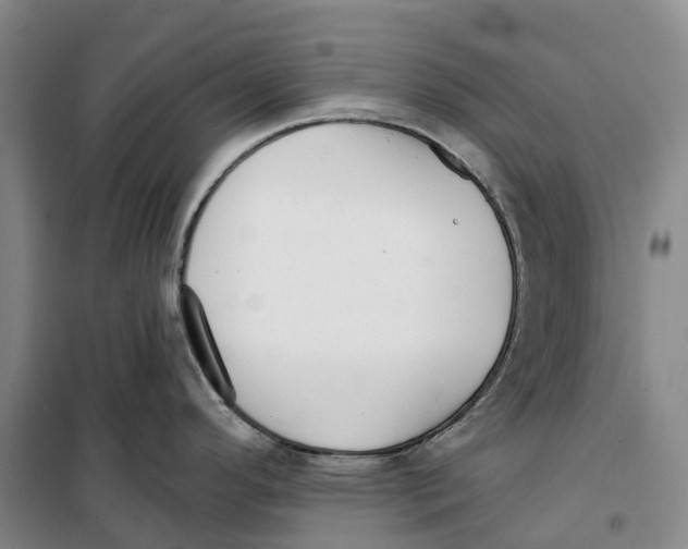 X0000099441296200805301443