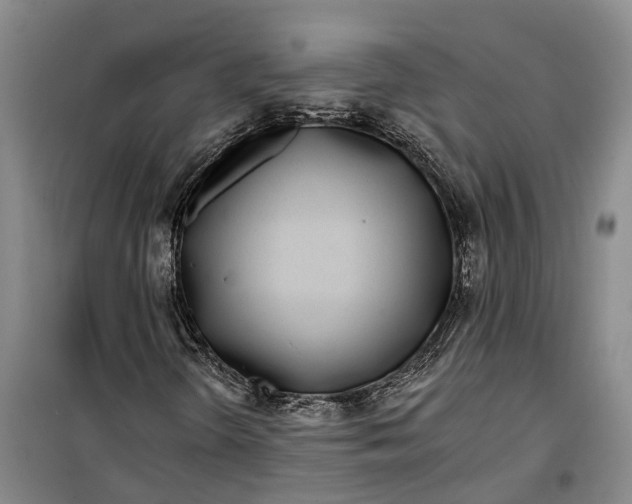 X0000099441298200805301442