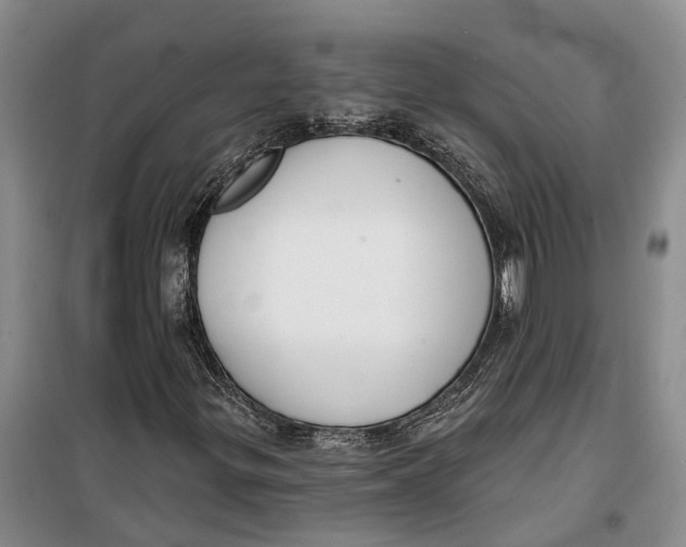 X0000099441299200805301442