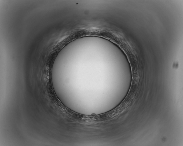 X0000099441301200805301442