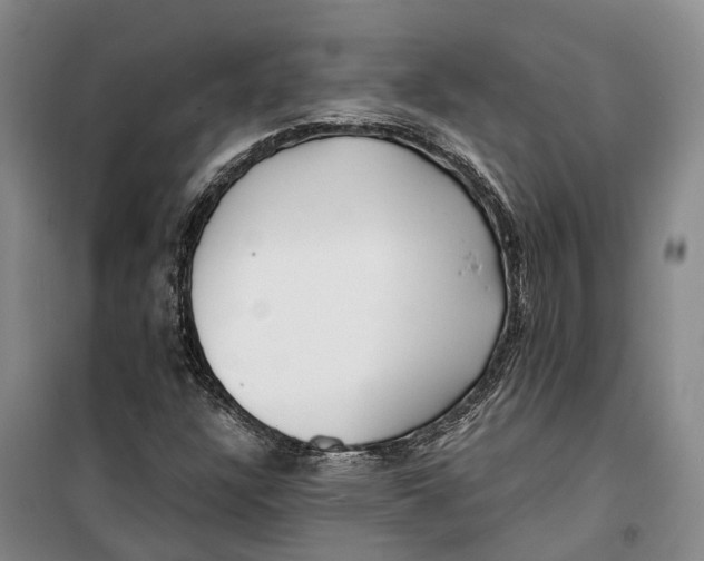 X0000099441304200805301442