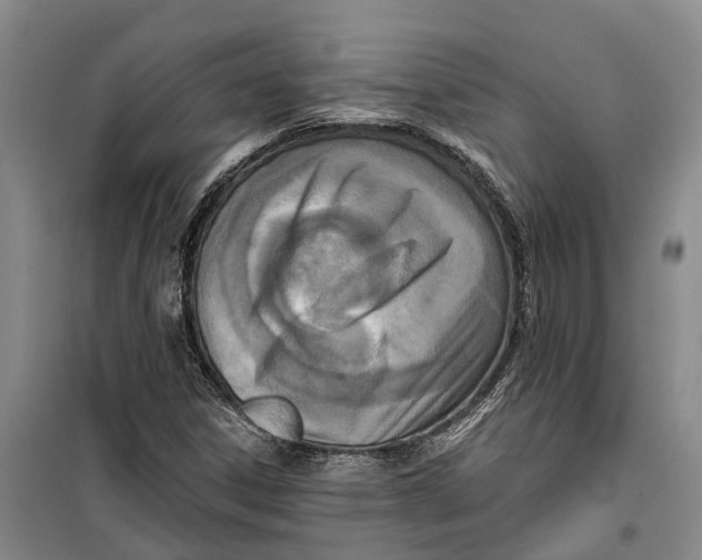 X0000099441306200805301442