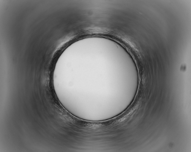X0000099441309200805301442
