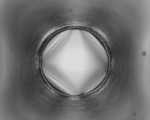 X0000099441310200805301442