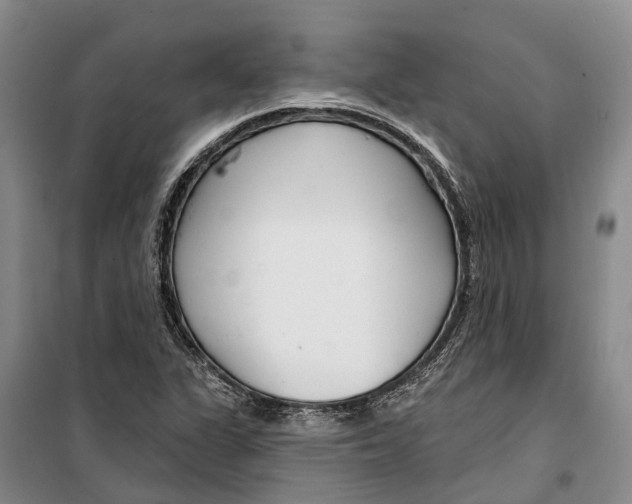 X0000099441311200805301442
