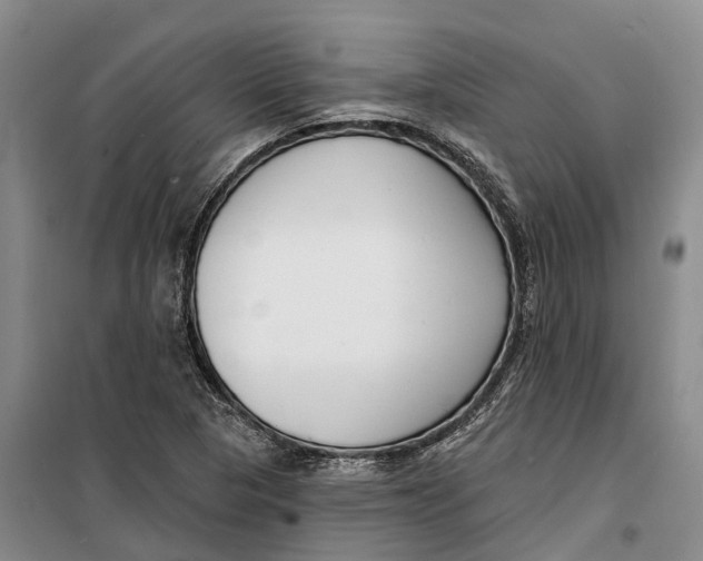X0000099441313200805301442