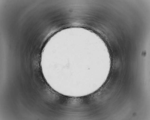 X0000099441314200805301442