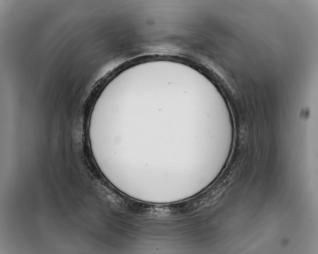 X0000099441315200805301442