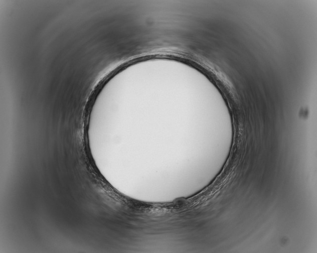 X0000099441316200805301442