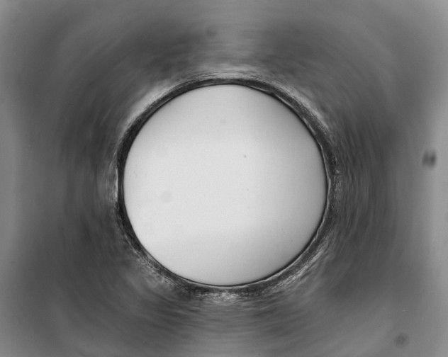 X0000099441317200805301442