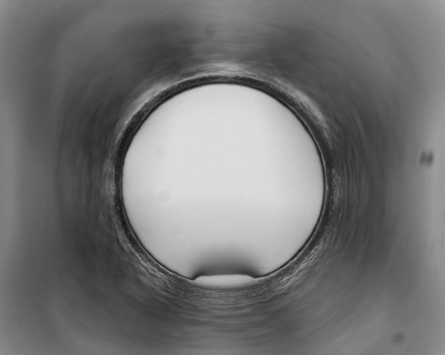 X0000099441318200805301442
