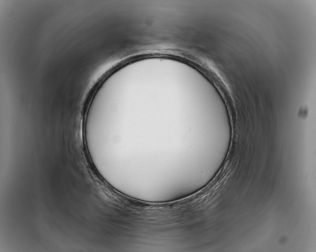 X0000099441320200805301442