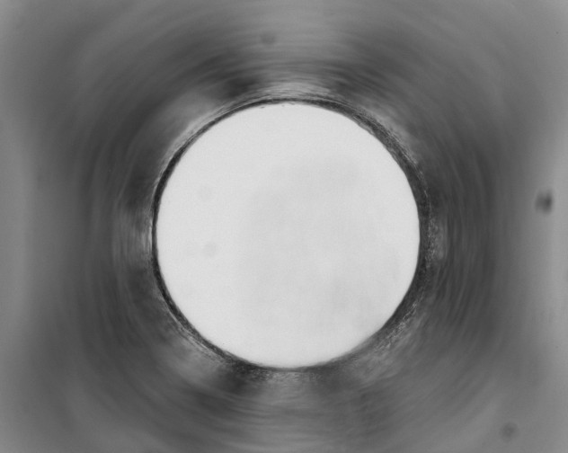 X0000099441322200805301442