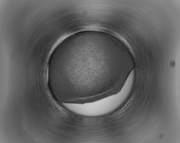 X0000099441323200805301442