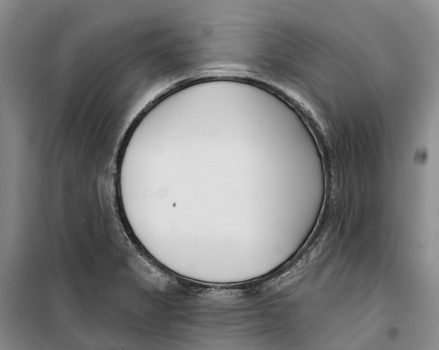 X0000099441325200805301442