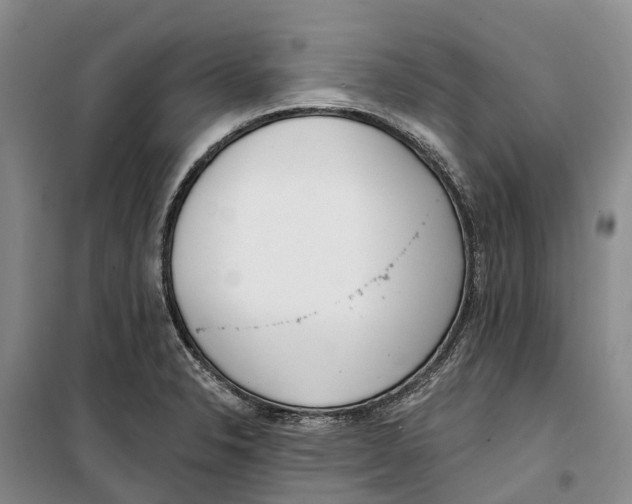 X0000099441326200805301442