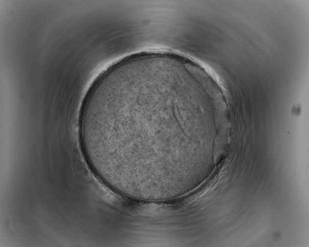 X0000099441327200805301442