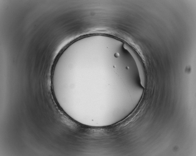 X0000099441328200805301442