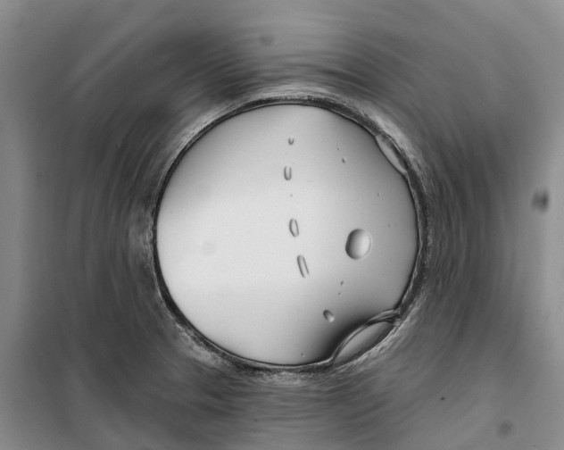 X0000099441329200805301442