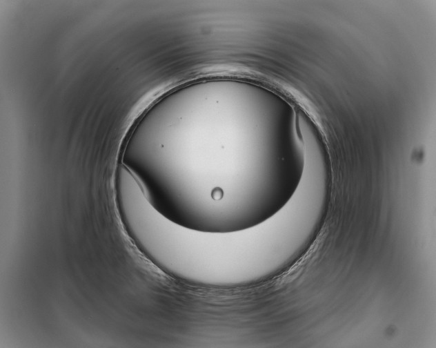 X0000099441330200805301442