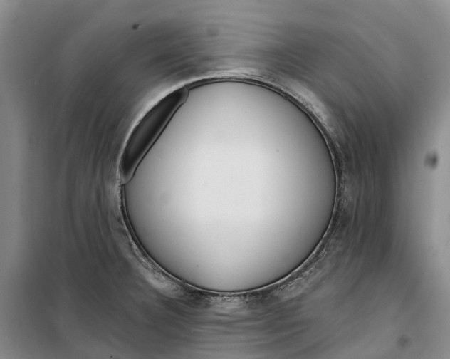 X0000099441332200805301442