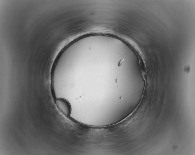 X0000099441335200805301442
