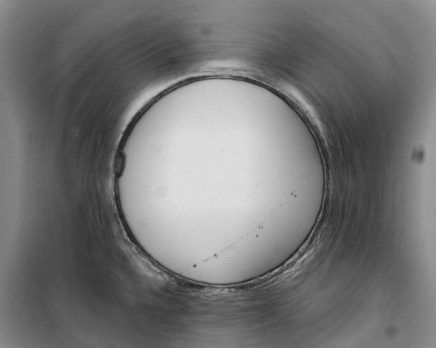 X0000099441336200805301442