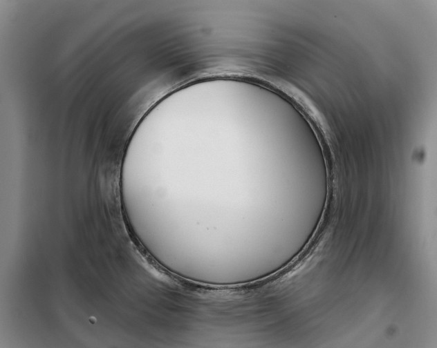 X0000099441337200805301442