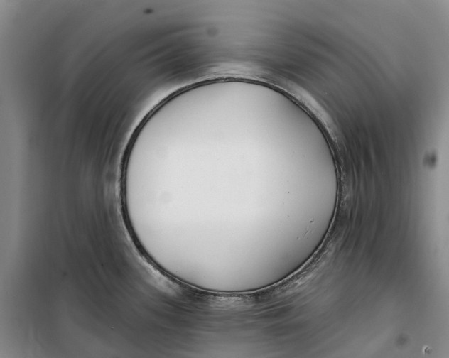 X0000099441339200805301442