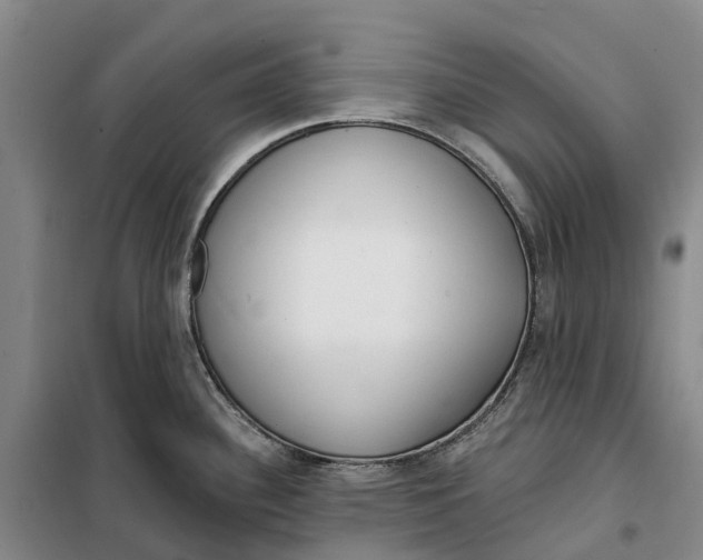 X0000099441340200805301442