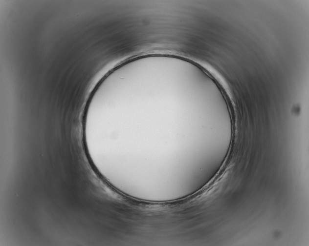 X0000099441341200805301443