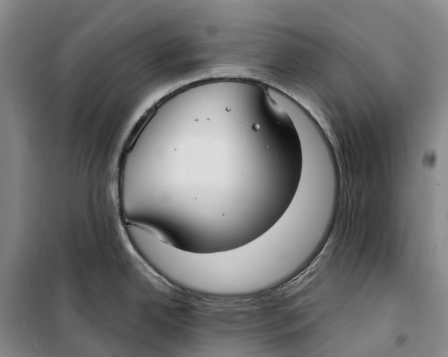 X0000099441342200805301443