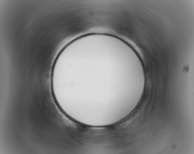 X0000099441343200805301443