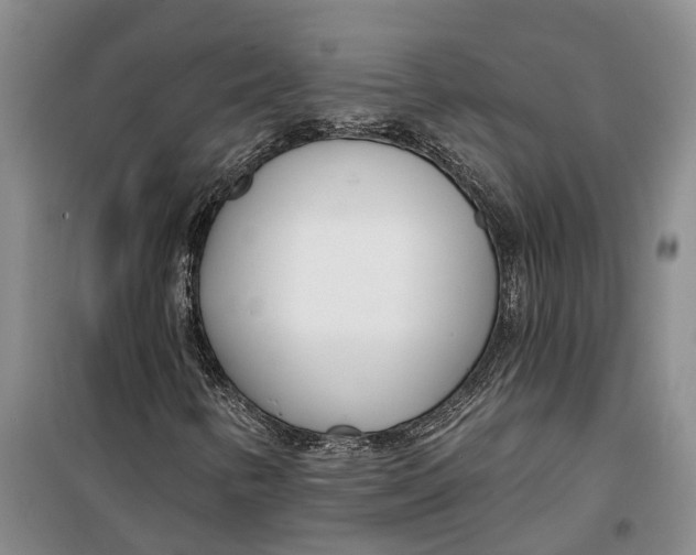 X0000099441346200805301442